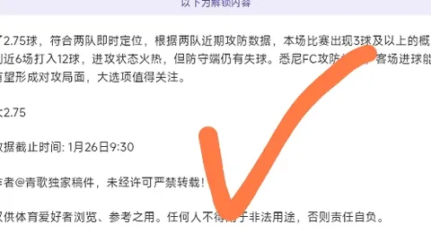 “揭秘：申花亚冠争议进球事件真相揭晓”
